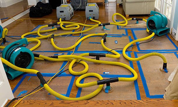 Professional Sewage Cleanup technician working in Alvordton, OH